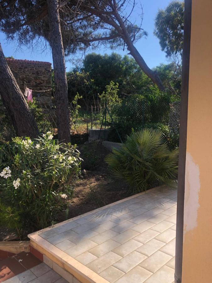 Civico34 House 4 - I Giardini Dell'Ancora Villa Stintino Eksteriør billede
